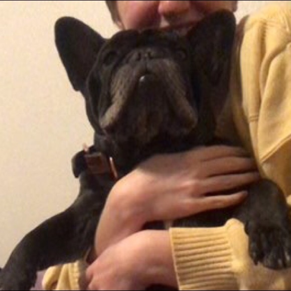 Meet your Posher, Isabella - Picture 1 of 1